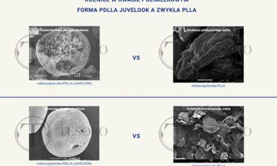 roznice-w-kwasie-polimlekowym-pdlla